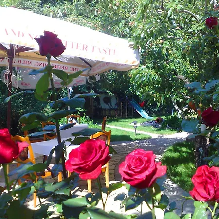 Family Sonata Hotel Samokov