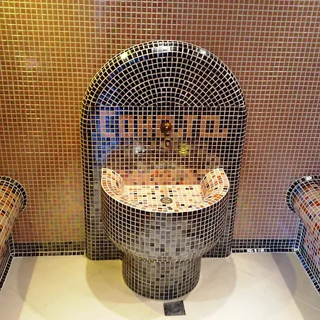 Family Sonata 3* Samokov