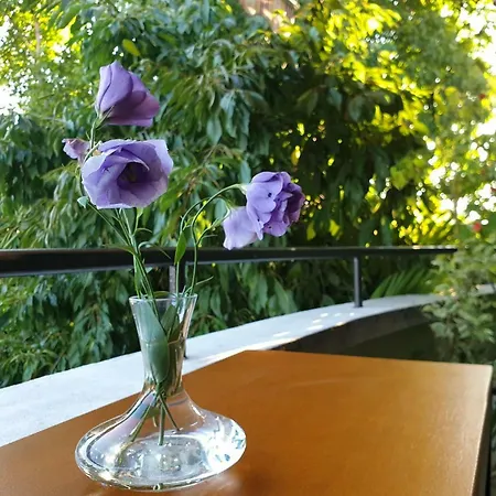 Hotel Family Sonata 3*