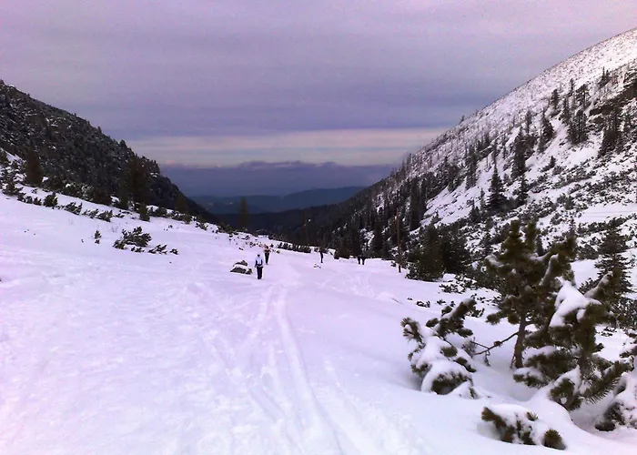 Hotel Family Sonata 3*