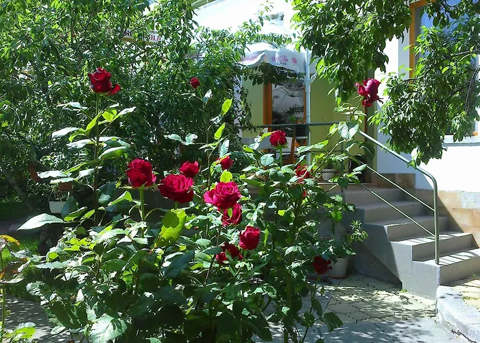 Family Sonata Hotel Samokov