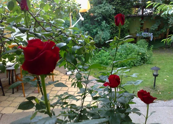 Family Sonata Samokov