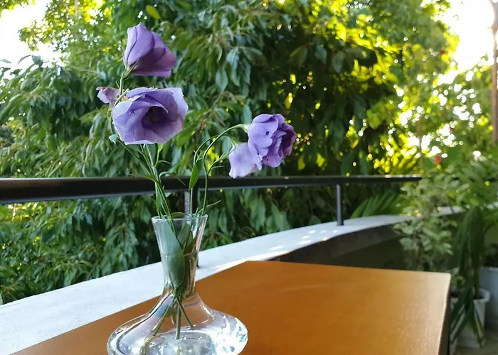 Hotel Family Sonata 3*